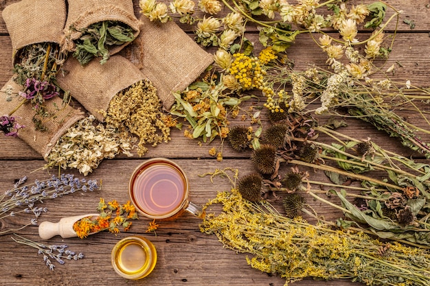 Tee mit Honig. Kräutererntesammlung und Blumensträuße von Wildkräutern. Alternative Medizin. Natürliche Apotheke, Self-Care-Konzept