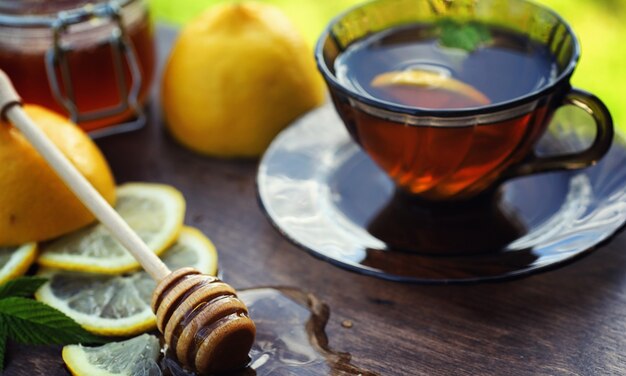 Tee mit Zitrone und Minze in der Natur. Eine Tasse heißen Minztee mit Zitrone und Honig im Glas. Zitronenscheiben und ein Löffel mit Honig zu heißem Tee.