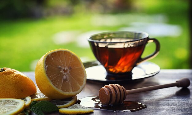 Tee mit Zitrone und Minze in der Natur. Eine Tasse heißen Minztee mit Zitrone und Honig im Glas. Zitronenscheiben und ein Löffel mit Honig zum heißen Tee.
