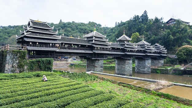 Foto teefeld und wind- und regenbrücke von chengyang