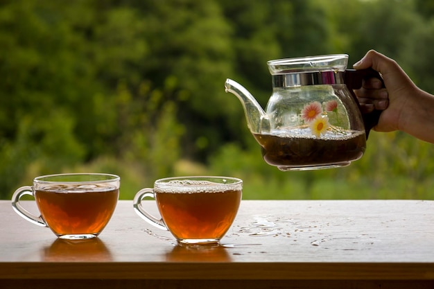 Teekanne mit einer transparenten Tasse Tee in der Natur