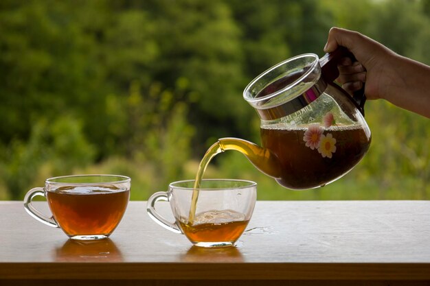 Teekanne mit einer transparenten Tasse Tee in der Natur