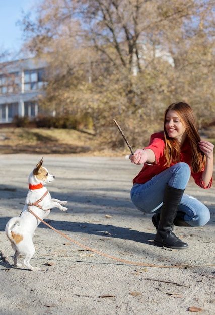 Teenager-Mädchen haben Training mit Toy Terrier Hündchen mit Holzstab