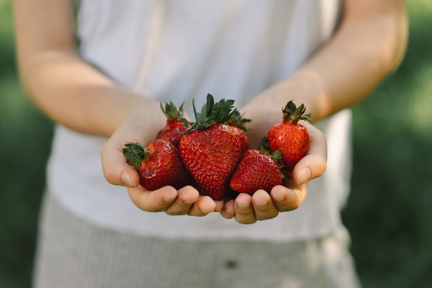 Teenager-Mädchen hält eine reife, leckere helle Erdbeer-Sommer-Vitaminnahrung reife Bio-Erdbeeren