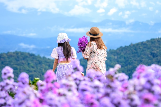 Teenager-Mädchen in einem Blumengarten, junges glückliches asiatisches Mädchen in Margaret Aster Blumenfeld in garde