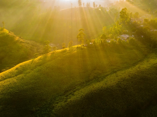 Teeplantagen in Munnar Kerala Indien Luftaufnahme Drohnenfoto