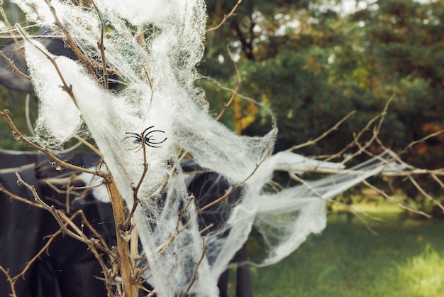 Teia de aranha com aranha em galhos secos Idéias de decoração de quintal de Halloween