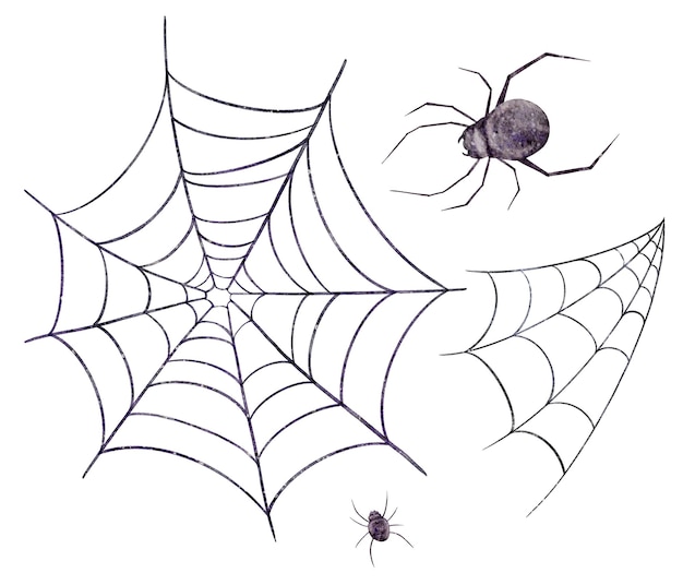 Foto teia de aranha de halloween elementos de terror em aquarela ilustração gótica isolada no fundo branco