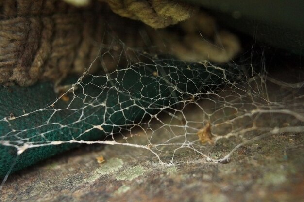 Teia de aranha escondida no escuro