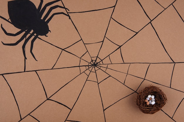 Foto teia de aranha para o halloween