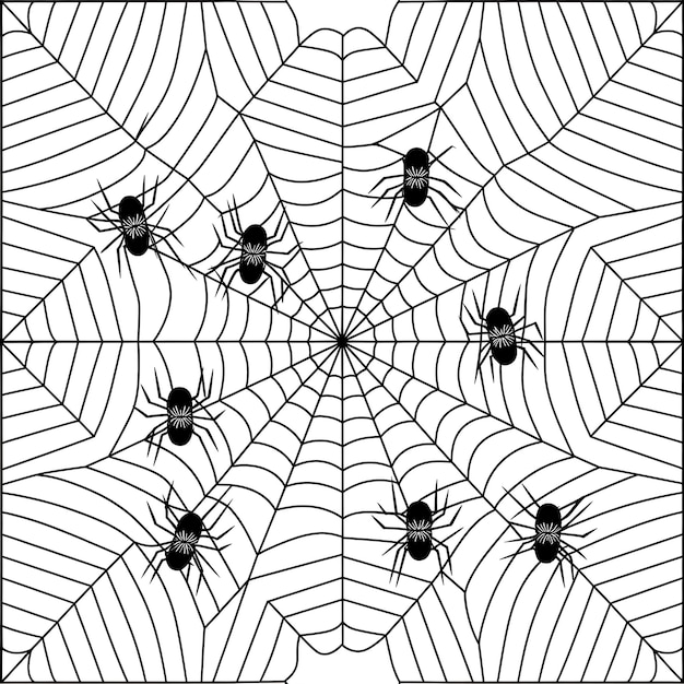 Teia de aranha sem costura Linhas pretas conectadas em fundo branco