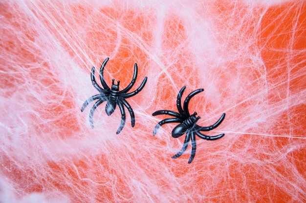 Teia de aranhas de teia de aranha assustadora de Halloween com um fundo laranja