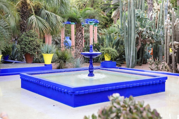 Teich im Garten Majorelle in Marrakesch, Marokko