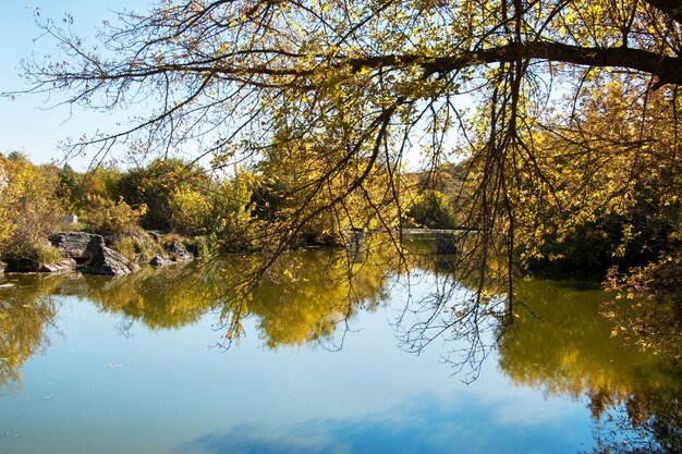 Teich im Herbst, gelbe Blätter