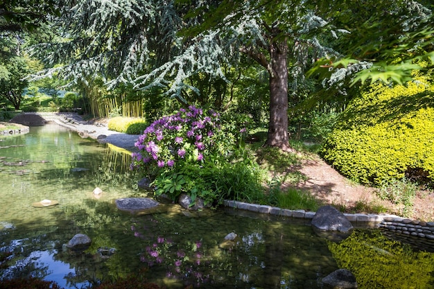 Teich in einem japanischen Garten