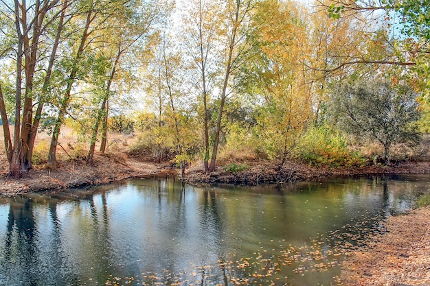 Teich mit herbstlich gekleideten Bäumen