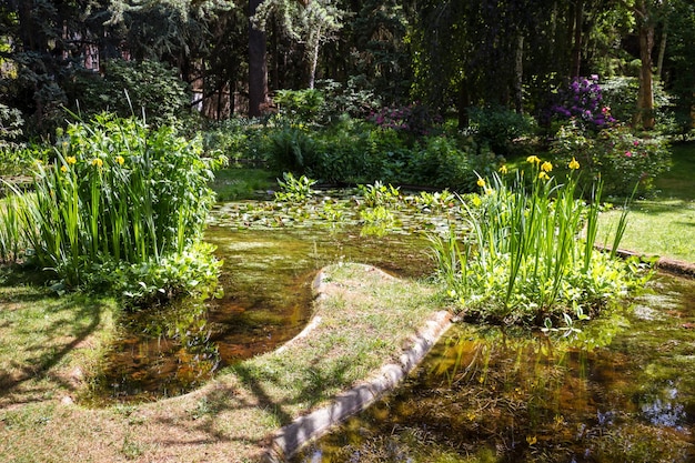 Teich und Blumen in einem grünen Park