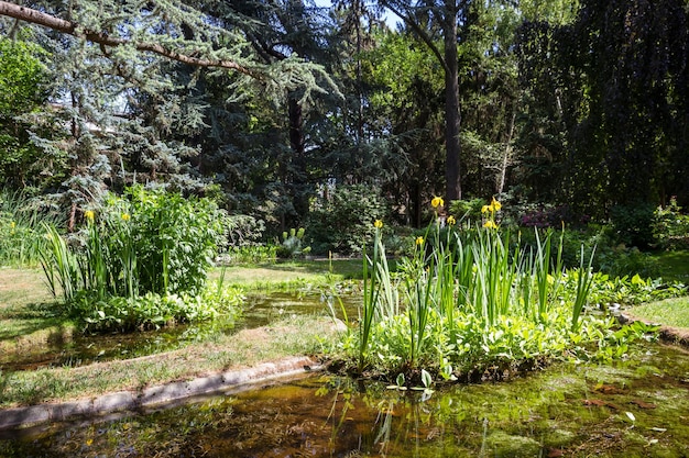 Teich und Blumen in einem grünen Park