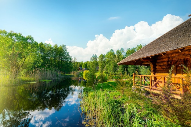 Teich und Wald