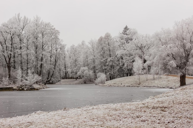 Teiche im Alexander Park im Schnee