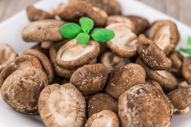 Teil des selektiven Fokus der rohen Shiitake-Pilze