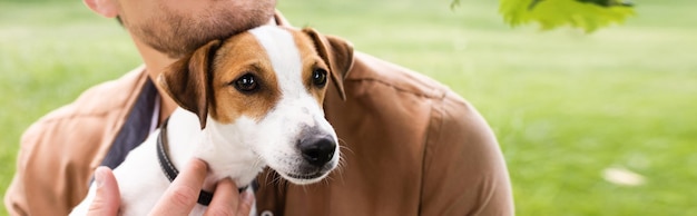 Teilansicht eines Mannes, der einen weißen Jack-Russell-Terrier-Hund mit braunen Flecken auf dem Kopf hält Panorama