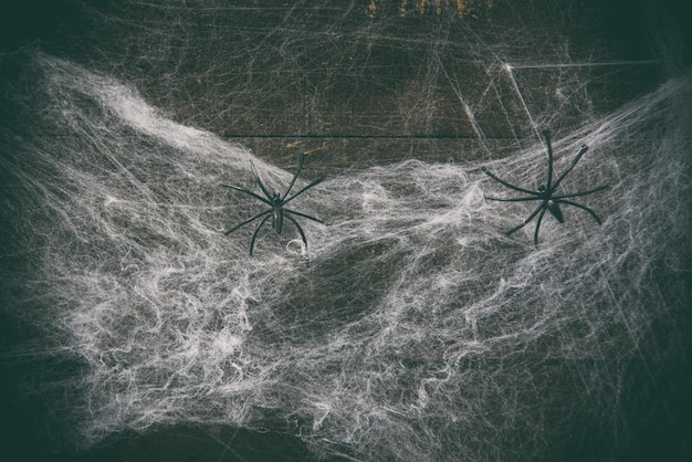 Tela de araña de Halloween horror decoración y araña negra en madera oscura