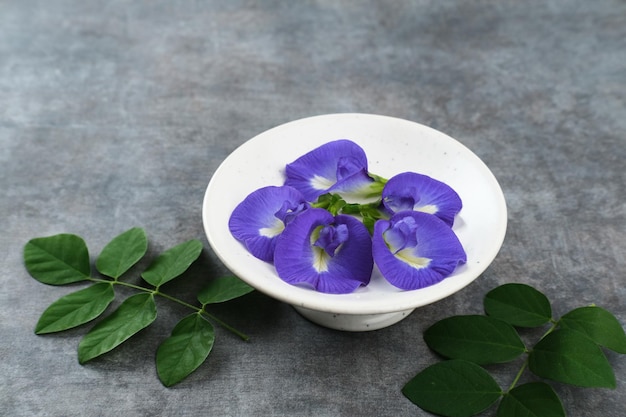 Telang flower bunga Telang Clitoria ternatea es una vid que generalmente se encuentra en jardines o bosques