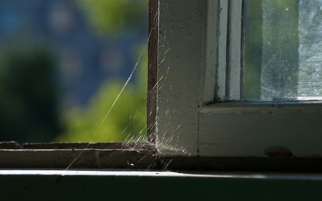 Telaraña en el alféizar de la ventana de la región de Moscú Rusia