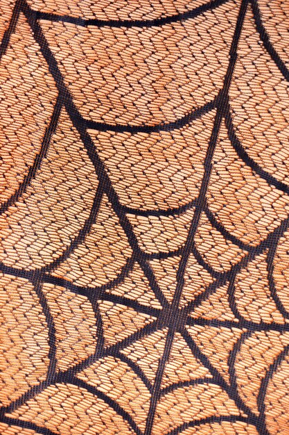 Foto telaraña negra sobre fondo naranja. vertical.