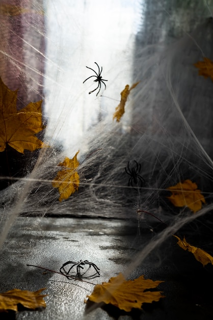 Telaraña o tela de araña sobre un fondo negro.