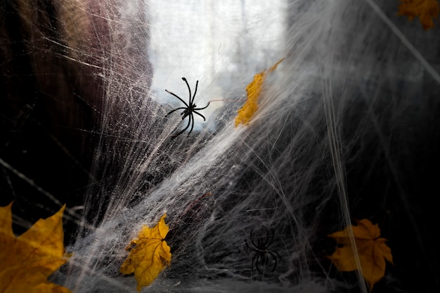 Foto telaraña o tela de araña sobre un fondo negro.