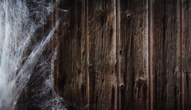 Telaraña sobre fondo de madera. Banner de Halloween. Copie el espacio. Enfoque selectivo.