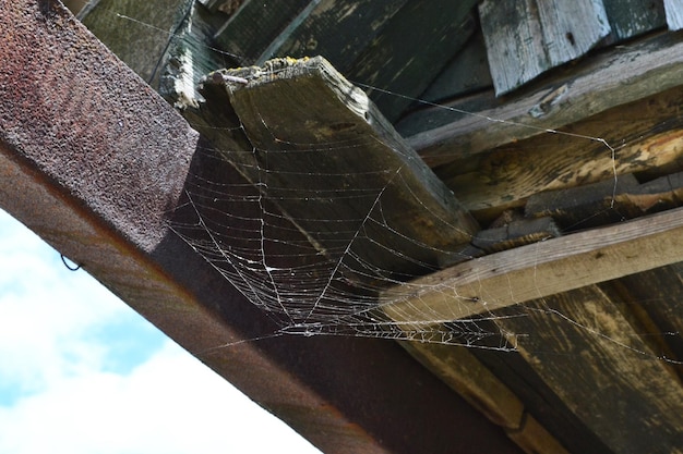 una telaraña se teje en la casa