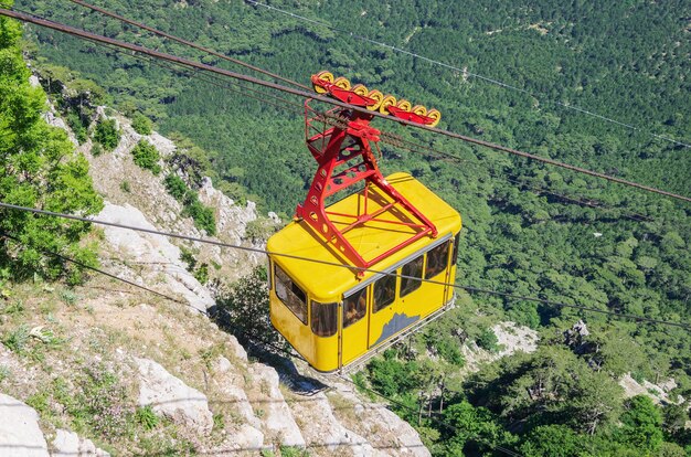 Teleférico bem acima da floresta