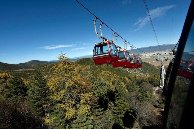 Teleférico rojo sobre una colina de pino verde en un día soleado