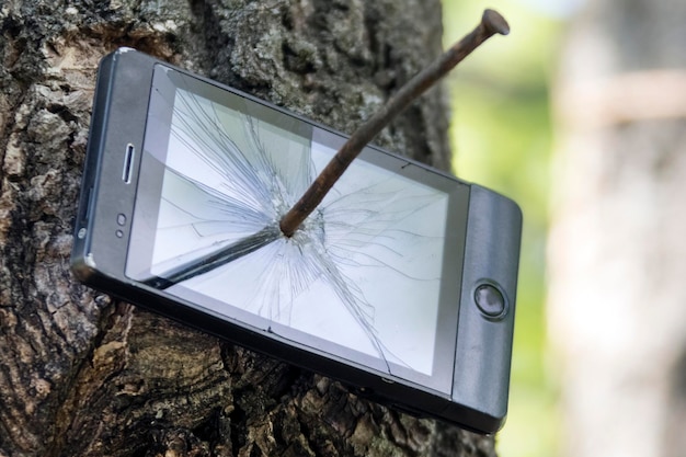 Telefon im Wald an Baum genagelt