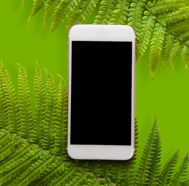 teléfono en el fondo de una planta de helecho verde