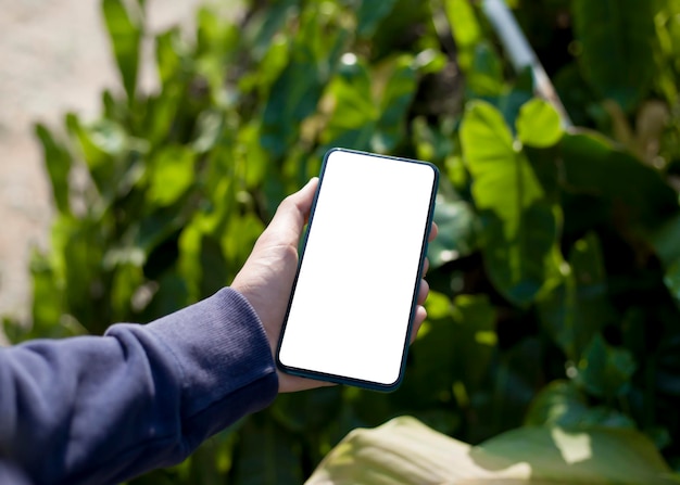 Un teléfono inteligente con una pantalla blanca creativa y un campo de turbinas eólicas eléctricas en el fondo