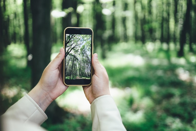 Teléfono en mano con una foto del bosque