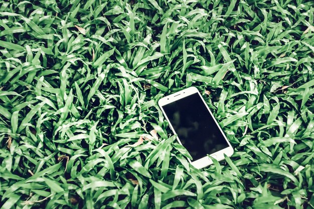 teléfono móvil en la hierba verde trabajando al aire libre en todas partes estilo de vida hacer la vida más fácil con la tecnología concepto idea de fondo maqueta para código QR de cupón en teléfono inteligente