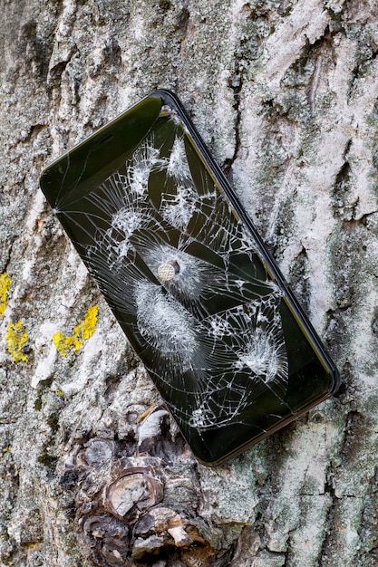 Teléfono roto con grietas clavadas al árbol