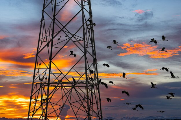 Telekommunikationsturm am sonnenuntergangshimmel