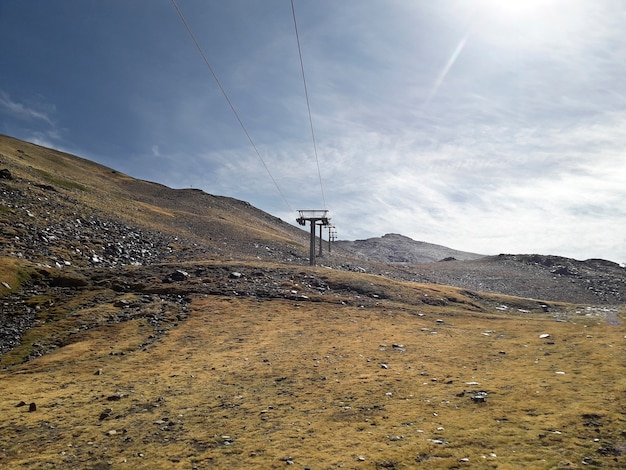 Telesilla en sierra nevada en verano