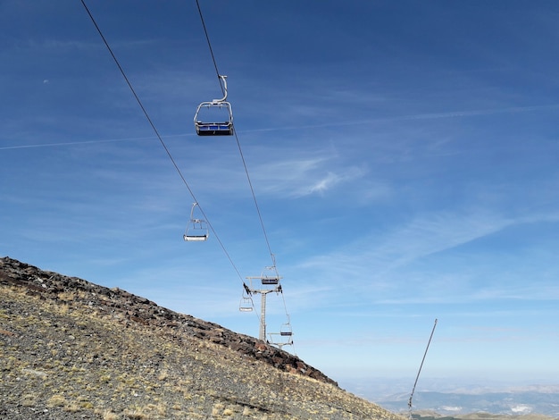 Telesilla en sierra nevada en verano