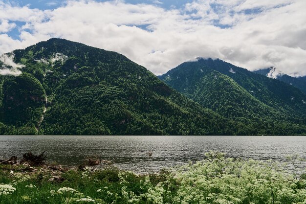 Teletskoye See im Altai-Gebirge Sibirien Russland Schönheit Sommermorgen