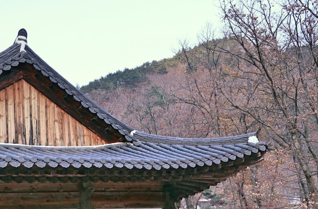 Telhado de arquitetura tradicional coreana