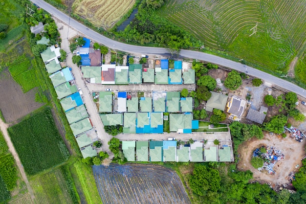 Telhado verde da vila no subúrbio com campo de arroz