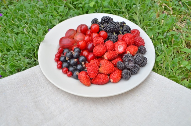 Teller mit Beeren-Sortiment