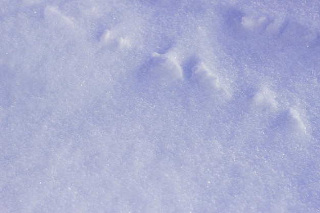 Telón de fondo de invierno con superficie de nieve helada